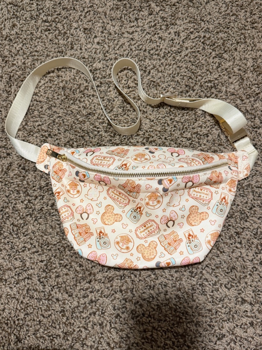 Disney parks inspired Danny pack